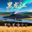 黑龙江