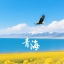 青海